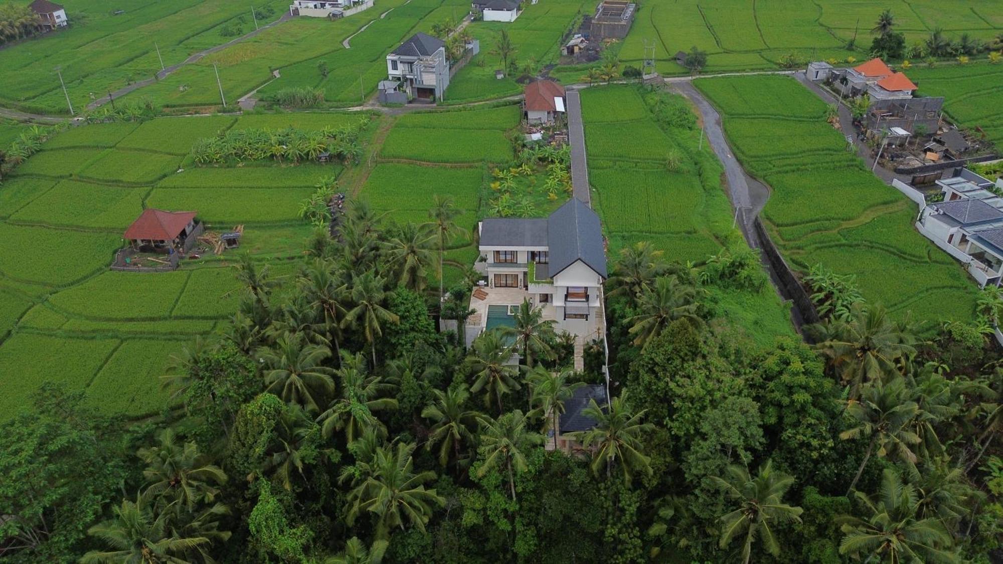 Honey Villa Ubud By Island Escape Eksteriør billede